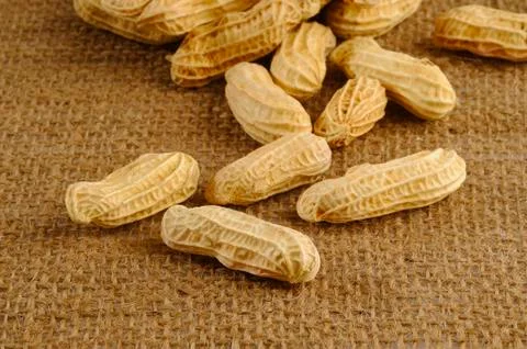 Peanuts on brown sack Stock Photos