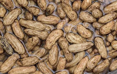 Peanuts cleaning in water Stock Photos
