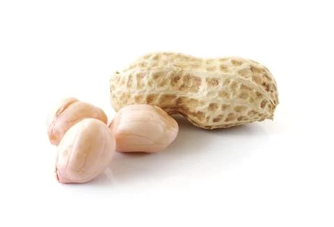Peanuts close up isolated on white background Stock Photos