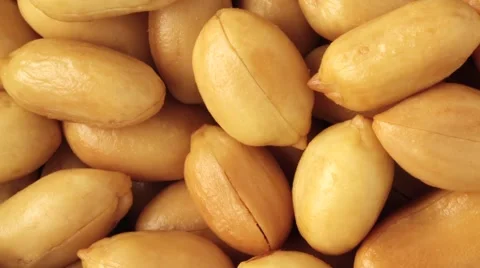 PEANUTS IN CLOSE UP MACRO TRACKING SHOT OVERHEAD 動画素材 62231580
