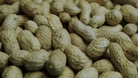 Peanuts close-up, peanut beans in shells. Stock Footage 141324876
