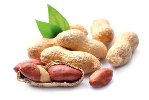 Peanuts close up Stock Photos