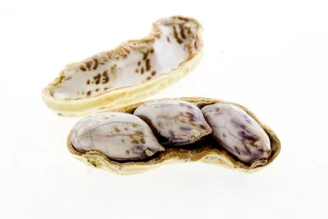 Peanuts in closeup Stock Photos