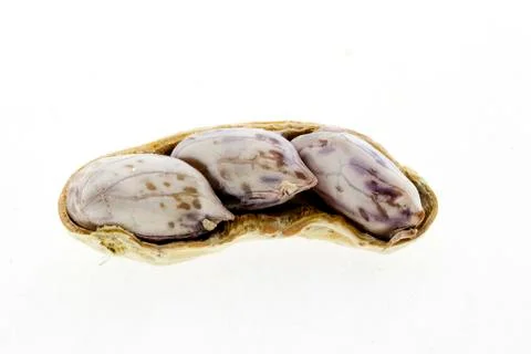 Peanuts in closeup Stock Photos