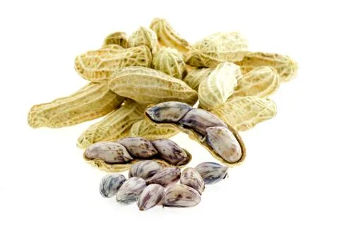 Peanuts in closeup Stock Photos