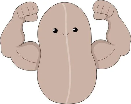 Peanuts contain protein which makes muscles develop better イラスト素材