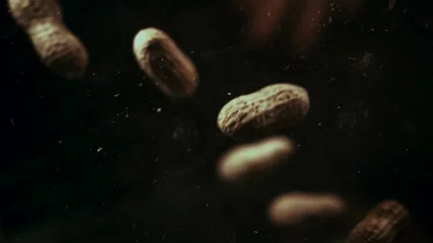 Peanuts Drop and Bounce Stock Footage 300886192