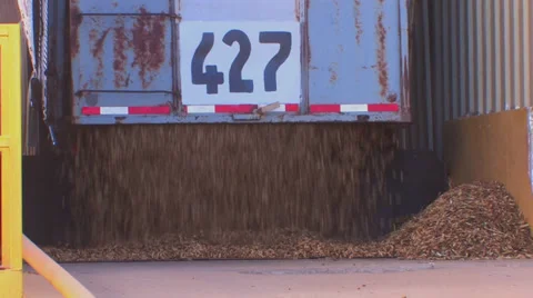 Peanuts dumped from truck 2 Stock Footage 32287592