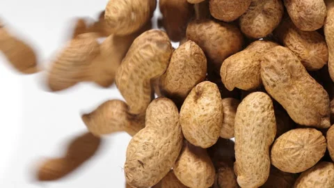 Peanuts fall in slow motion and cover the whole screen, vertical video Stock Footage 172215244