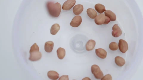 Peanuts fall from the top into a glass plate Video stock 139746575