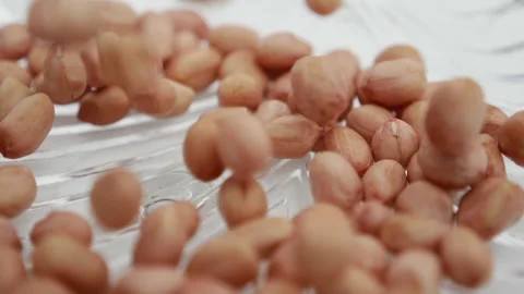 Peanuts falling into the glass bowl Stock Footage 139746533