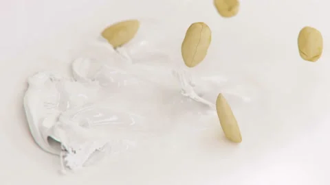 Peanuts Falling Into Milk in 4K Super slow motion Stock Footage 143472698