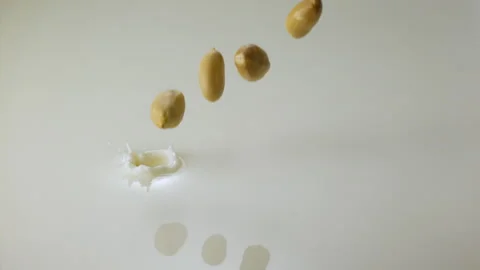 Peanuts falling in milk and splashing Stock Footage 149434346
