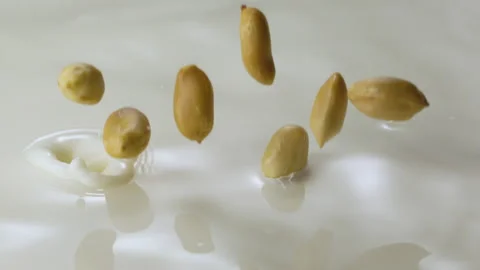 Peanuts falling in milk and splashing Stock Footage 149434385