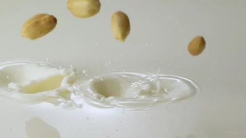 Peanuts falling in milk and splashing Stock Footage 149434459