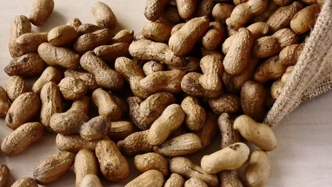 Peanuts falling out from the burlap bag. Stock Footage 80934250
