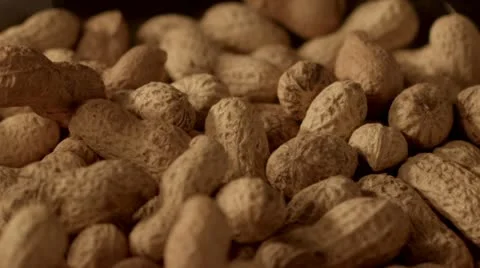 Peanuts falling in slow motion Vídeos de archivo 11825939