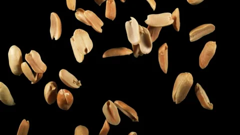 Peanuts falling in slow motion isolated on a black background cinematic foota Stock Footage 327577280
