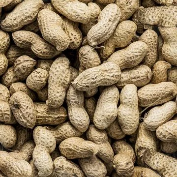 Peanuts flat lay close up Stock Photos