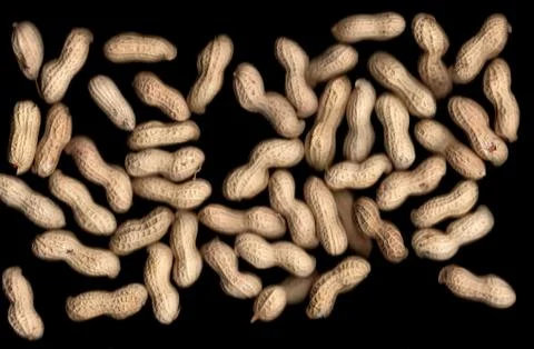 Peanuts on flatbed scanner Stock Photos