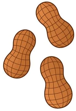 Peanuts food snack nut shell raw illustration Illustrazione stock