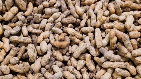Peanuts Stock Footage 316359180
