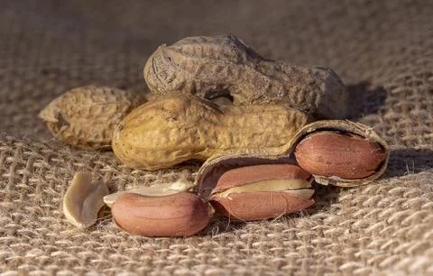 Peanuts in the foreground on rustic underground. Stock-Fotos