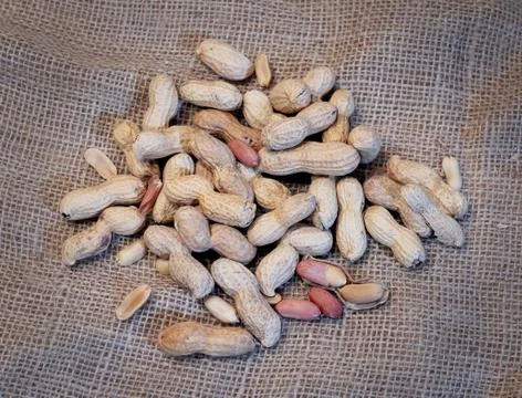 Peanuts in the foreground on rustic underground. Stock-Fotos