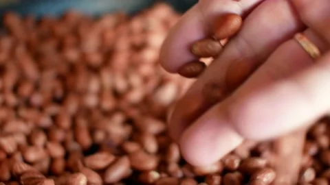 Peanuts groundnuts in hand. Human food close-up  Stock Footage 133740164