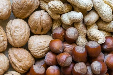 Peanuts, Hazelnuts and Walnuts with Nutshells Mix Background Stock Photos
