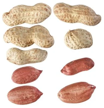 Peanuts isolate on white background, closeup, from various angles. Stock Photos