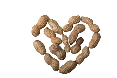 Peanuts isolated form a heart shape on white background Stock Photos