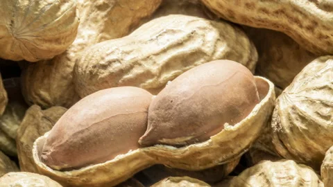 Peanuts isolated on grain background. Peanut macro. Stock Footage 130671881