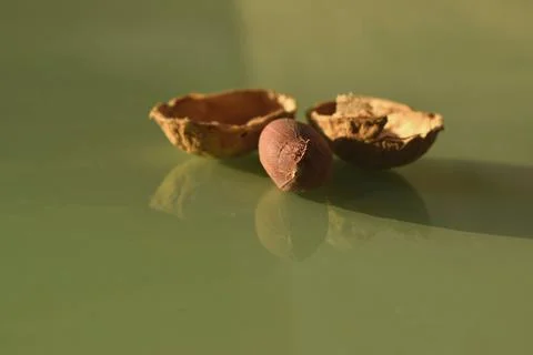 Peanuts isolated on a green background, macro photography Stock Photos