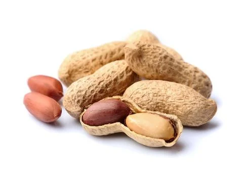 Peanuts isolated. Stock Photos