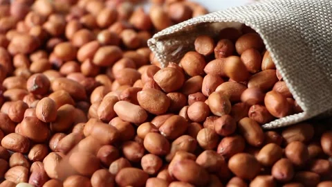 Peanuts isolated on white background close up organic healthy food concept Stock Footage 154680639