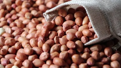 Peanuts isolated on white background close up organic healthy food concept Stock Footage 154680642