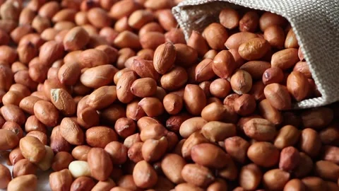 Peanuts isolated on white background close up organic healthy food concept Stock Footage 154680647