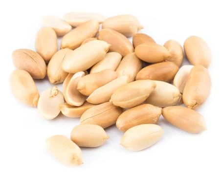 Peanuts isolated on the white background. Close up 写真素材