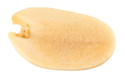 Peanuts isolated on the white background. Close up Foto stock