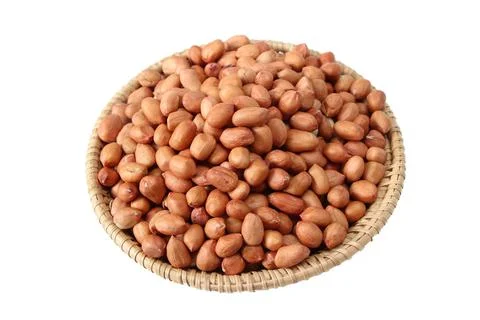 Peanuts isolated on white background close up organic healthy food concept Stock Photos