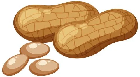 Peanuts isolated on white background Stock Illustration