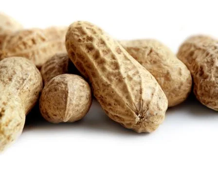 Peanuts isolated on white background Stock Photos