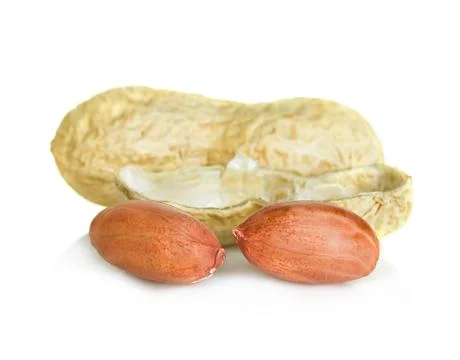 Peanuts isolated on white background Stock Photos