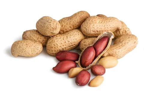 Peanuts isolated on the white background Foto stock