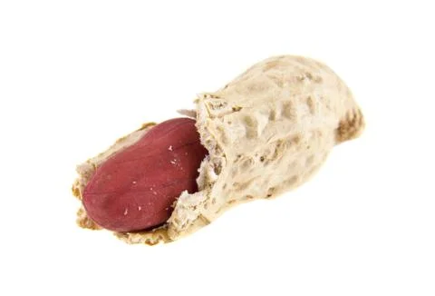 Peanuts isolated on white background Stock Photos