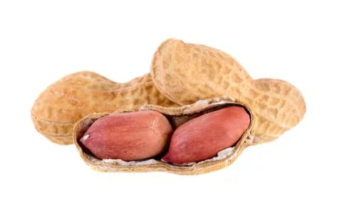 Peanuts isolated on white background 写真素材