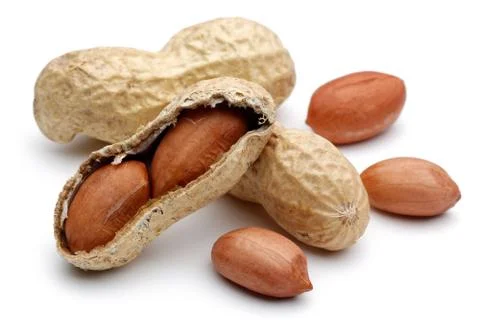 Peanuts isolated on white background Stock Photos