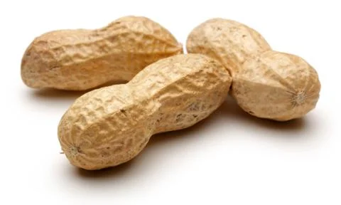 Peanuts isolated on white background Stock Photos