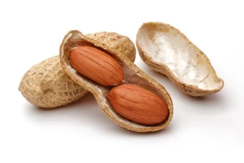 Peanuts isolated on white background Stock Photos